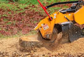 Best Lawn Maintenance Plans  in Collierville, CA